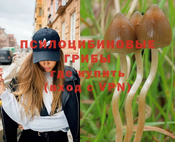 а пвп мука Белокуриха